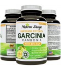 80% HCA GARCINIA PURE CAMBOGIA EXTRAIT - NATURELLES 120 CAPSULES - PLUS HAUT GRADE POUR POIDS ET DE L'APPÉTIT DE CONTRÔLE - MEIL