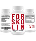 Vérifié forskoline Extract 250mg 60 Capsules - All Natural Organic Maximum Strength Herbal Weight Loss Pills Appetite