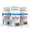 Purest normalisé 20% forskoline 250mg - Plus haut Physique Qualité- Lean - Perte de poids et contrôle de l'appétit - Approuvé pa