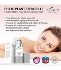 Avancée Dermatologie Anti Aging Lilac Stem Cell Crème Visage &amp; Hydratant - Avec naturelle vitamine C, E, A