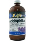 Acidophilus With Bulgaricus And Bifidus, FOS (Blueberry Flavor) - 16 oz. - Liquid