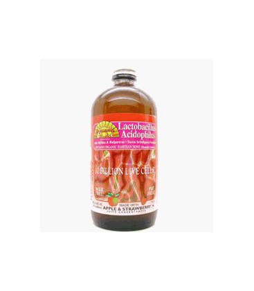 Acidophilus with Natural Apple - Strawberry Flavor Kosher Liquid 16 oz (473 ml)