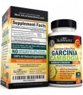 Garcinia Extrait Pur 1600mg avec 960mg HCA. Perte de poids rapide et du métabolisme des graisses. Meilleur Appétit, Extreme