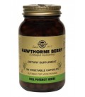 Hawthorne Berry 520mg - 100 - Veg/Cap