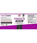 Forskoline Extrait pur pour la perte de poids et d'appétit, du métabolisme Booster, Bloqueur de Glucides et Belly Fat Burner par