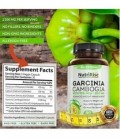 Pur Garcinia extrait avec 95% HCA Pour rapide Fat Burn. Meilleur Appétit et Carb Blocker. Naturel, Cliniquement