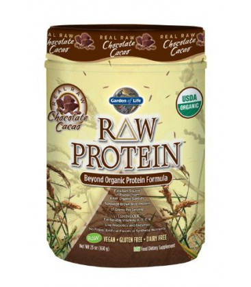 Garden of Life Raw Organic Protein Chocolate, 650 Gram