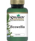 Boswellia 400 mg 100 Caps - Swanson Premium