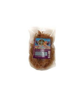 Fresh Whole Leaf Irish Moss (Raw, Wildcrafted) 16 oz