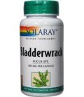 Solaray Bladderwrack 580mg - 100 - Capsule