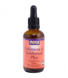 Now Foods Echinacea &/Goldseal Plus Extract, 2-Ounce