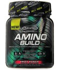 Amino Build by MuscleTech - Superior Strength Enhancing BCAA Post-Workout Supplement (Fruit Punch, 50 Servings)