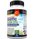 Top Quality Probiotics Supplement 20 Billion CFUs - 60 Capsules - Boosts the Immune System « Buy 3 & 1 is FREE when using code