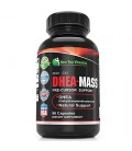 DHEA-messe DHEA 100mg 90 Capsules 1 Bouteille